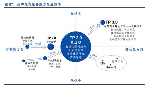头部TP的多元化业务矩阵 构建兼具电商、营销与技术能力的品牌综合服务商